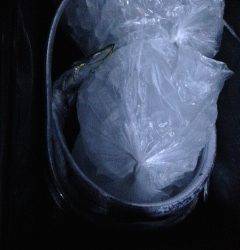 牛ヶ首周辺　ワインド低活性でアジングに切り替えるとタチウオが！