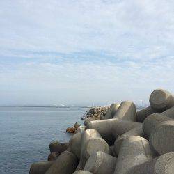 水軒にてタチウオ計11匹&エギングでは新子サイズのアオリイカ2杯