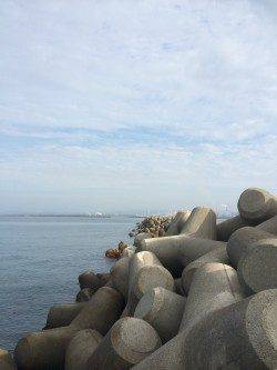 水軒にてタチウオ計11匹&エギングでは新子サイズのアオリイカ2杯