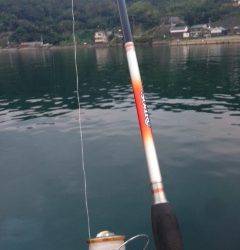 戸坂・塩津漁港　ボトム重視のワインディングでタチウオ釣れました