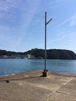 勝浦港にてオオモンハタ　ライトタックルで楽しめました