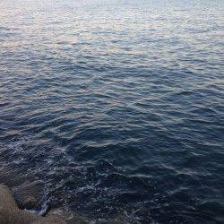 りんくうでタチウオワインド　明るくなってからジグサビキでカマス