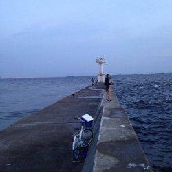 西宮ケーソン　ライトショアジギングでサゴシがヒット