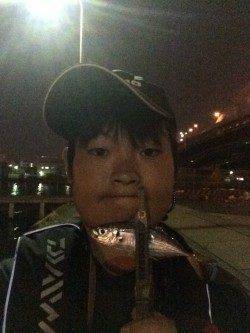 大阪南港　常夜灯周りでのアジング