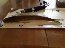 須磨で鉄板ブレードをキャスト…エソがヒット…