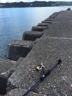 太地でライトゲーム　オオモンハタの釣果