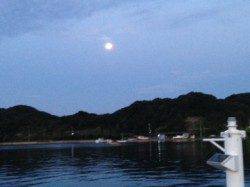 田辺・内之浦港にて　綺麗な月の明かりの中キビレの釣果