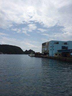 勝浦漁港　ベイトタックルでオオモンハタの小気味良い引を味わえました