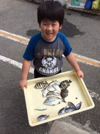 マリーナ釣り公園　ファミリーサビキで魚種多…