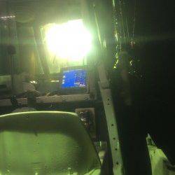 間人　エギングのアオリイカはリリースサイズ