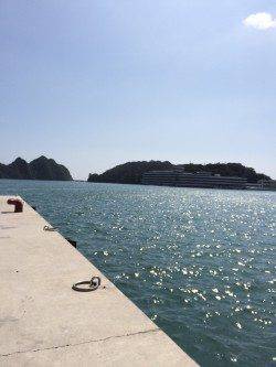 勝浦港でニューロッド、ニューリールの鱗付け　オオモンハタの釣果(^.^)