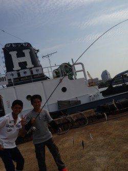 北公園でサビキ釣り　15cm前後のアジが入れ食いでした♪