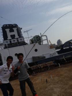 北公園でサビキ釣り　15cm前後のアジが入…