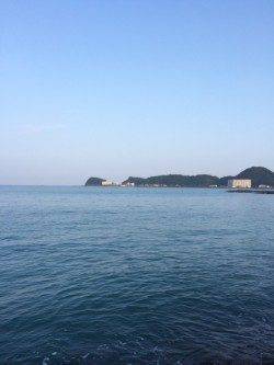 太地時磯で夕まずめにルアーでハタの釣果