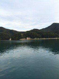 柴山港　初のサヨリ釣りで42匹の好釣果