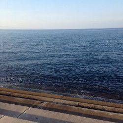 大阪ゴルフ場裏　エギングでのアオリイカ狙いはボトム中心でアタリ