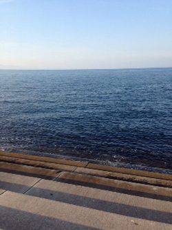 大阪ゴルフ場裏　エギングでのアオリイカ狙いはボトム中心でアタリ