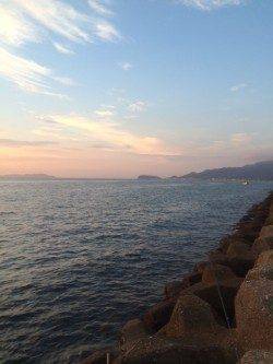 スプリットリグでアジをゲット　淡路島・古茂江周辺にて豆アジング