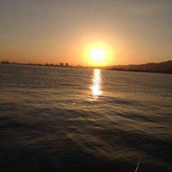 西宮浜　ライトショアジギングでタチウオ＆サゴシ