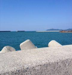 初めての日高釣行、初ワインドでタチウオ7匹☆