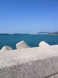 初めての日高釣行、初ワインドでタチウオ7匹☆