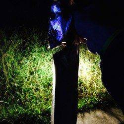 シーサイドコスモでタチウオ　夕方は引き釣り、暗くなってからはウキ釣りが◎