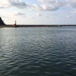 香住東港　アジ・サヨリとも絶好調でした♪