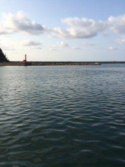 香住東港　アジ・サヨリとも絶好調でした♪