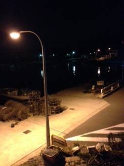 谷川漁港　アジング釣行も渋い釣果に