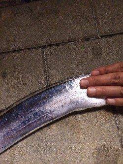 南港周辺でタチウオ釣り　ウキ釣りでゲットできました