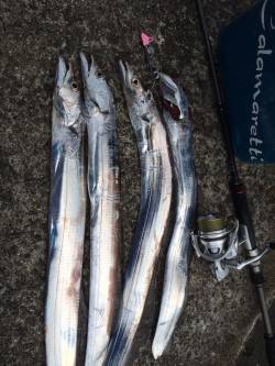 水軒で3時〜8時までのタチウオ釣行後エギン…