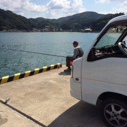 柴山港　のべ竿のサヨリもなかなか難しい釣りです