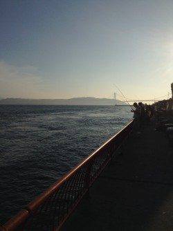 平磯海づり公園　胴突仕掛けの探り釣りでカワハギなど