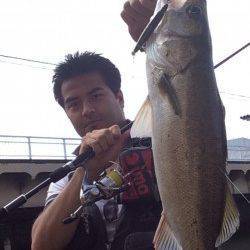 雨後の濁り入った石津川　ベイト少ない中でもシーバスHITで満足！