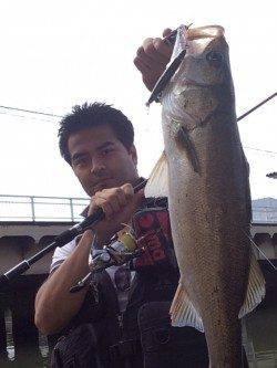 雨後の濁り入った石津川　ベイト少ない中でもシーバスHITで満足！