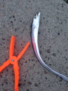 戸坂・塩津漁港　ボトム重視のワインディング…