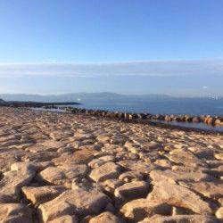 江井ヶ島　夜勤帰りの朝一エギング