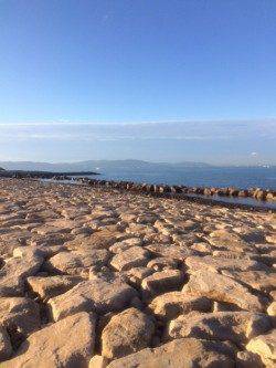 江井ヶ島　夜勤帰りの朝一エギング