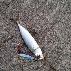 西宮ケーソン　朝からサバゲーを楽しむ