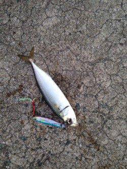 西宮ケーソン　朝からサバゲーを楽しむ