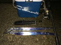 マリーナシティ大波止でタチウオ狙い　当たり…