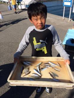 マリーナシティ海釣り公園　サビキでアジ・イ…