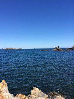 太地くじら浜公園　ワームでガシラ狙いを楽しむ