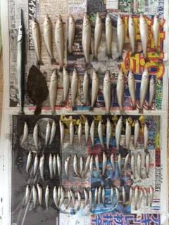 磯ノ浦　投げ釣りでキス78匹！　ほかヒラメ…