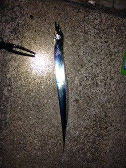 ポートアイランド北公園　西側船着場でサビキ&タチウオ狙い