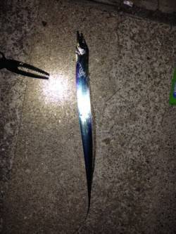 ポートアイランド北公園　西側船着場でサビキ…