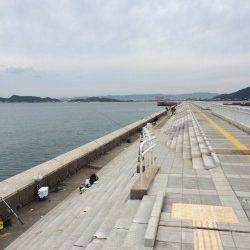 マリーナシティにてウキ釣りでタチウオ&投げサビキでアジなど