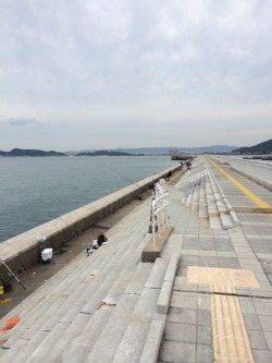 マリーナシティにてウキ釣りでタチウオ&投げサビキでアジなど