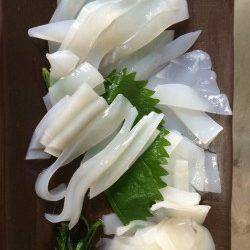 妻鹿エギングでアオリイカ　コロッケサイズが2投目でヒット！