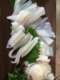 妻鹿エギングでアオリイカ　コロッケサイズが2投目でヒット！